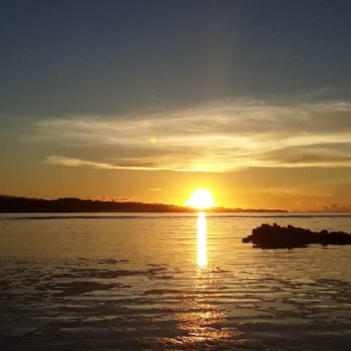 Sunset Landscape