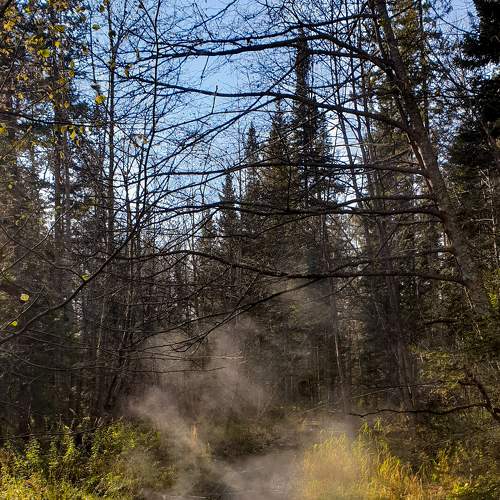 Photo #6044754
