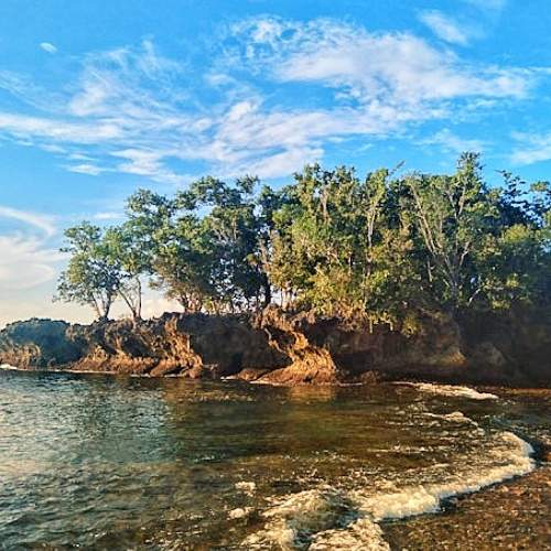 #Landscape