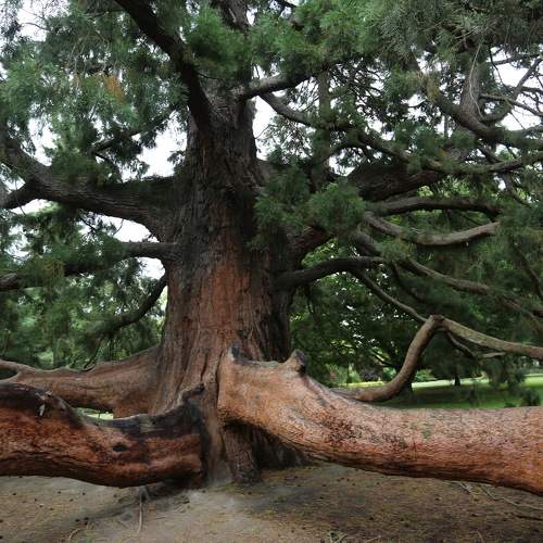 Photo #6045303
