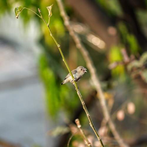 Photo #6046264
