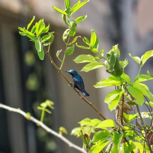 Photo #6046278