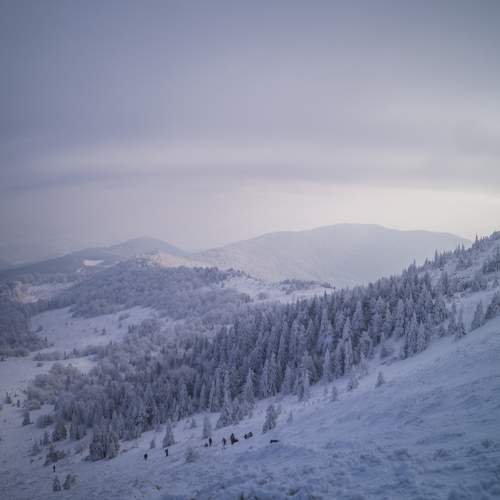 Photo #6046367