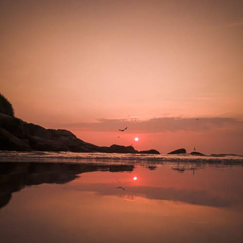 Photo #6046381