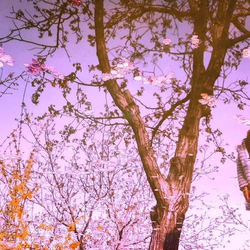 Photo #6046579