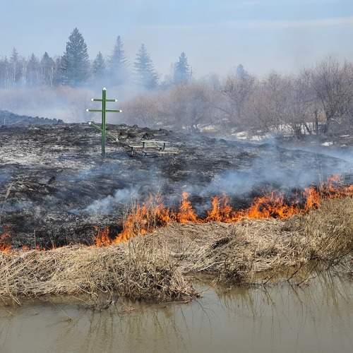 Photo #6046633
