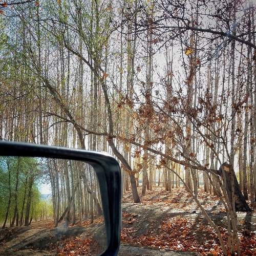 Photo #6046751