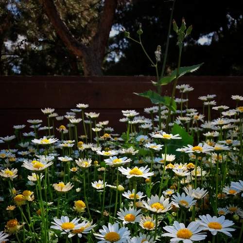 Photo #6046759