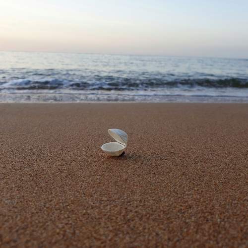 Photo #6046976