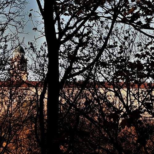 Photo #6047026