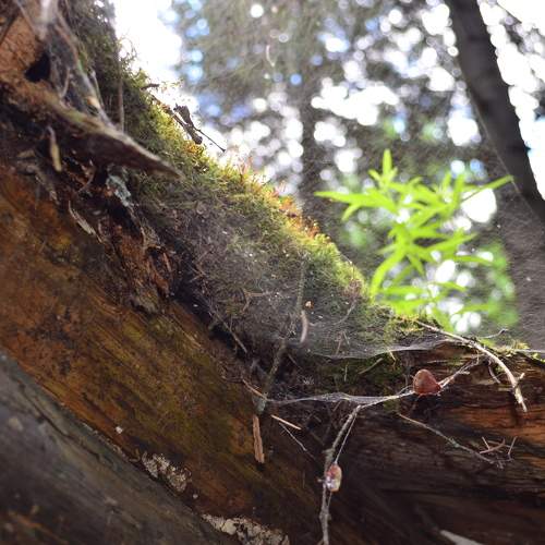 Photo #6047544