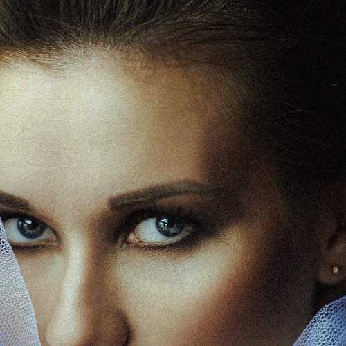 Photo #6047916