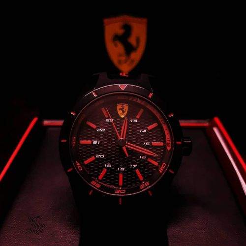 Photo #6048045