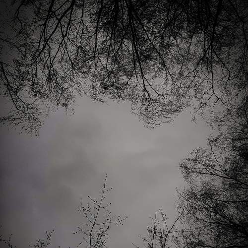 Photo #6048586