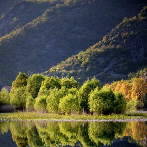 Photo #6048596