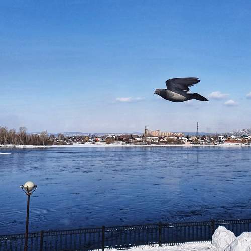 Photo #6048779