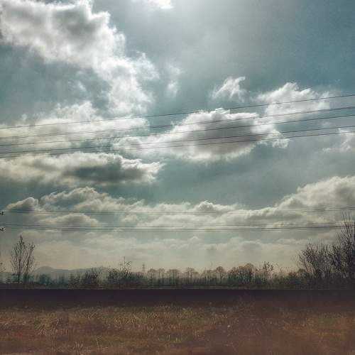 Photo #6049418