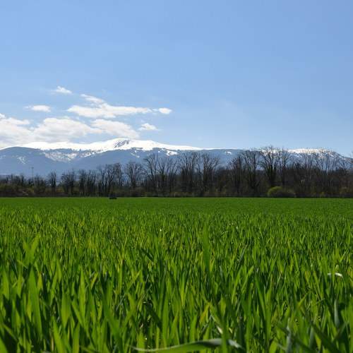 Photo #6049577