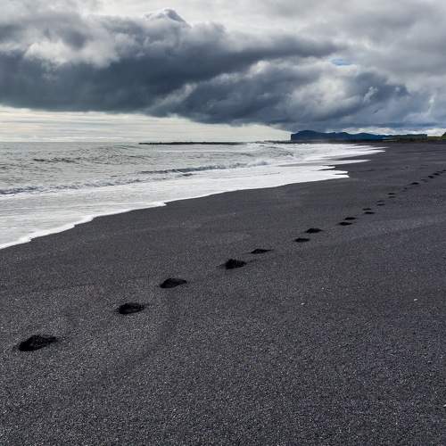 Photo #6049774