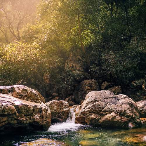 Photo #6049825