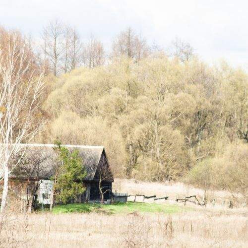 Photo #6049869