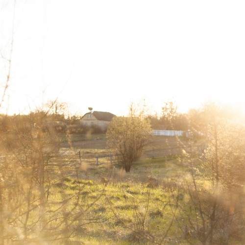Photo #6049870