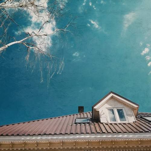 Photo #6049948