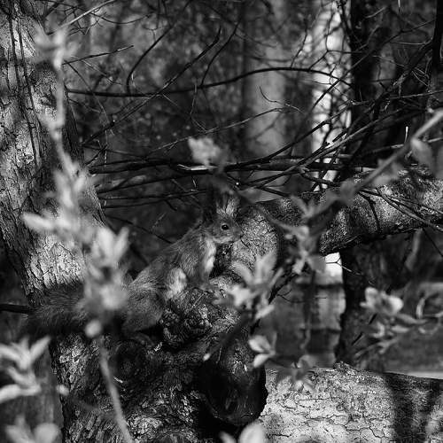 Photo #6050049