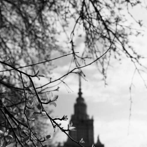 Photo #6050050