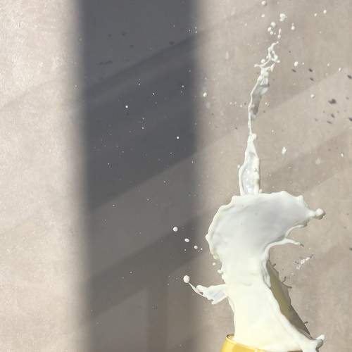 Photo #6050236