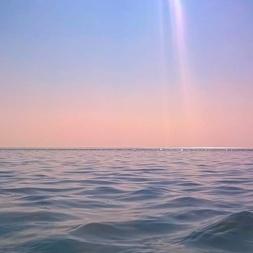 Photo #6050353