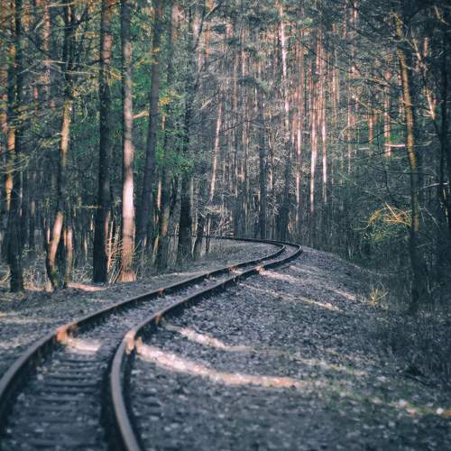 Photo #6050436