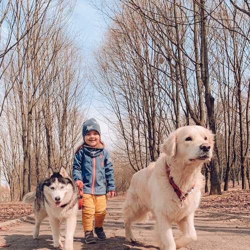 Photo #6050509
