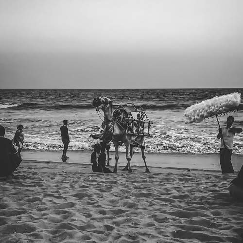Photo #6050553