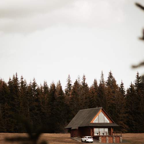 Photo #6051042