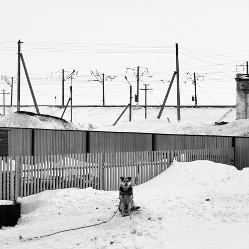 Сторож