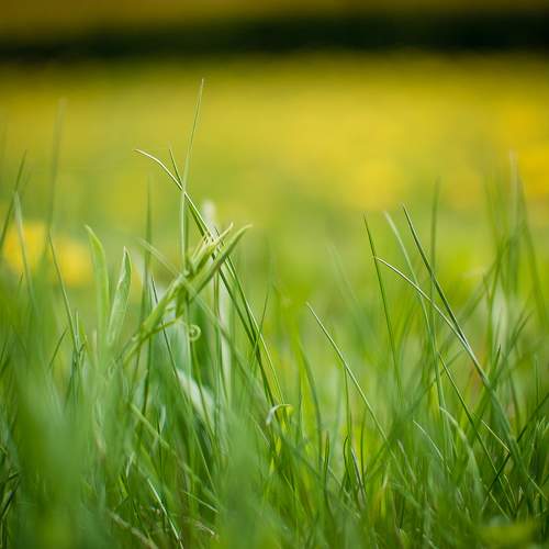 Photo #6052025