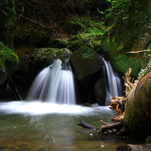 Photo #6052124