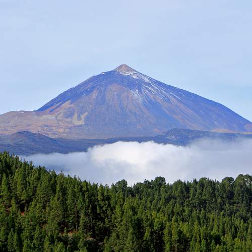 Photo #6052125