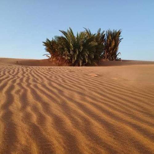 Photo #6052274