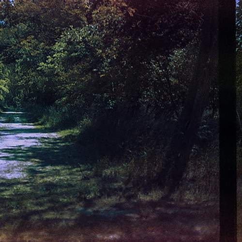 Photo #6052399