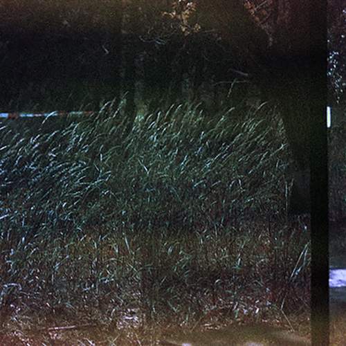 Photo #6052400