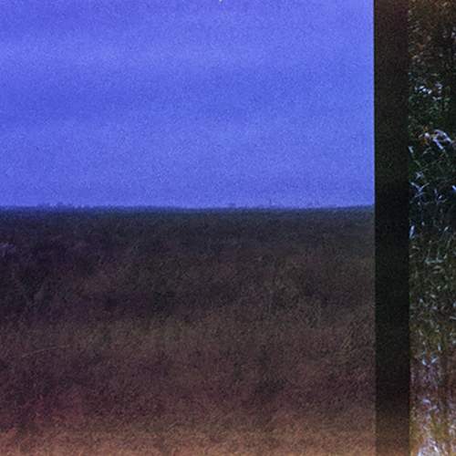 Photo #6052401