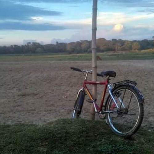 Photo #6052704