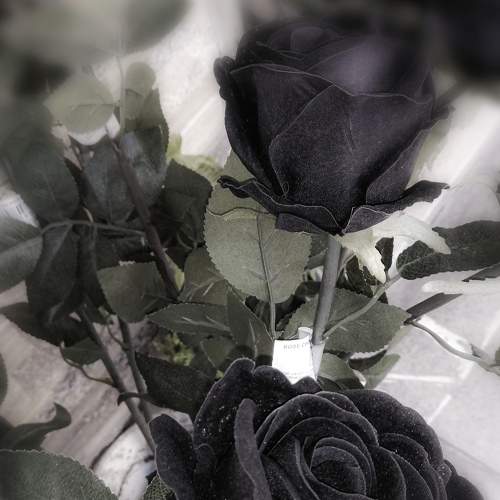 Photo #6053217