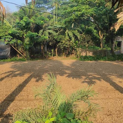 Shadow of Nature