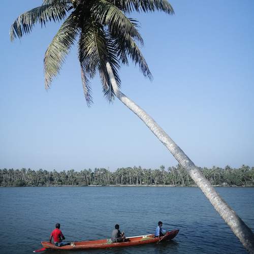Photo #6053670