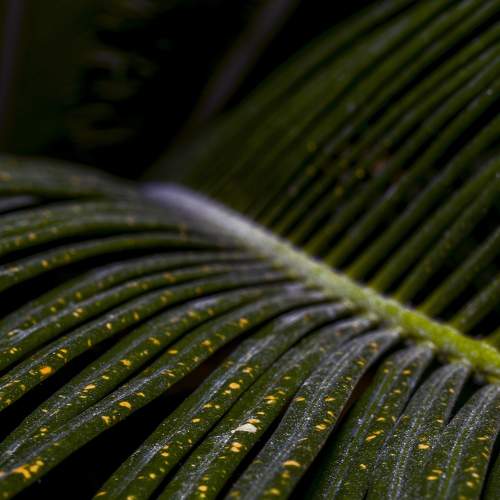 Photo #6053907