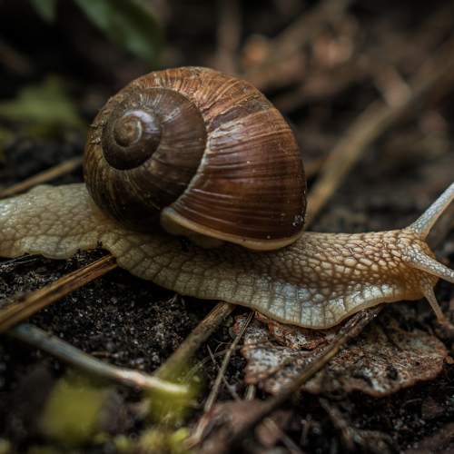 Photo #6054094