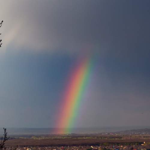 Photo #6054371